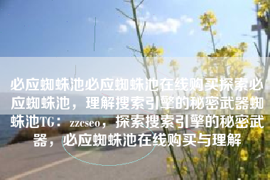 必应蜘蛛池必应蜘蛛池在线购买探索必应蜘蛛池，理解搜索引擎的秘密武器蜘蛛池TG：zzcseo，探索搜索引擎的秘密武器，必应蜘蛛池在线购买与理解