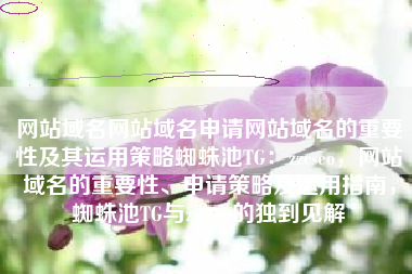 网站域名网站域名申请网站域名的重要性及其运用策略蜘蛛池TG：zzcseo，网站域名的重要性、申请策略及运用指南，蜘蛛池TG与zzcseo的独到见解