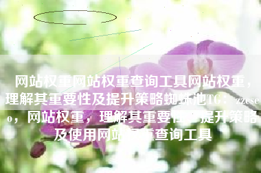 网站权重网站权重查询工具网站权重，理解其重要性及提升策略蜘蛛池TG：zzcseo，网站权重，理解其重要性、提升策略及使用网站权重查询工具
