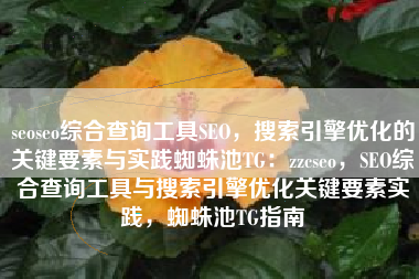 seoseo综合查询工具SEO，搜索引擎优化的关键要素与实践蜘蛛池TG：zzcseo，SEO综合查询工具与搜索引擎优化关键要素实践，蜘蛛池TG指南
