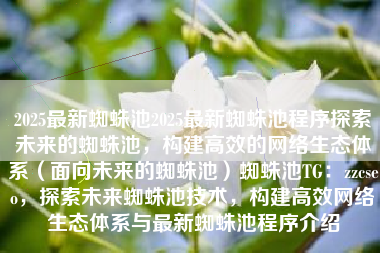 2025最新蜘蛛池2025最新蜘蛛池程序探索未来的蜘蛛池，构建高效的网络生态体系（面向未来的蜘蛛池）蜘蛛池TG：zzcseo，探索未来蜘蛛池技术，构建高效网络生态体系与最新蜘蛛池程序介绍