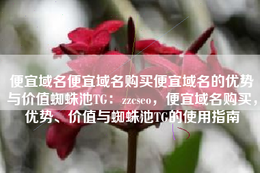 便宜域名便宜域名购买便宜域名的优势与价值蜘蛛池TG：zzcseo，便宜域名购买，优势、价值与蜘蛛池TG的使用指南