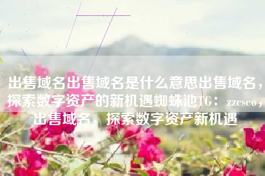 出售域名出售域名是什么意思出售域名，探索数字资产的新机遇蜘蛛池TG：zzcseo，出售域名，探索数字资产新机遇