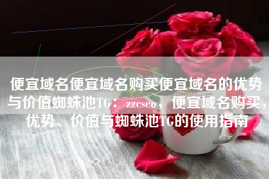 便宜域名便宜域名购买便宜域名的优势与价值蜘蛛池TG：zzcseo，便宜域名购买，优势、价值与蜘蛛池TG的使用指南