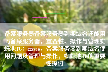 备案服务器备案服务器到期域名还能用吗备案服务器，重要性、操作与管理蜘蛛池TG：zzcseo，备案服务器到期域名使用问题及管理与操作，蜘蛛池TG的重要性探讨