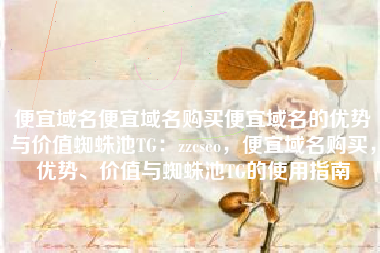 便宜域名便宜域名购买便宜域名的优势与价值蜘蛛池TG：zzcseo，便宜域名购买，优势、价值与蜘蛛池TG的使用指南