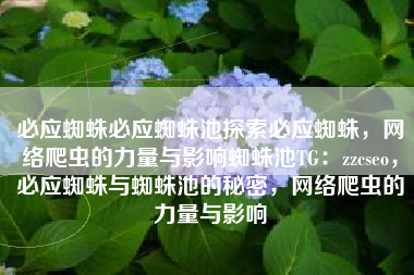 必应蜘蛛必应蜘蛛池探索必应蜘蛛，网络爬虫的力量与影响蜘蛛池TG：zzcseo，必应蜘蛛与蜘蛛池的秘密，网络爬虫的力量与影响