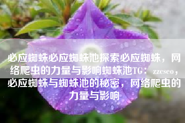 必应蜘蛛必应蜘蛛池探索必应蜘蛛，网络爬虫的力量与影响蜘蛛池TG：zzcseo，必应蜘蛛与蜘蛛池的秘密，网络爬虫的力量与影响