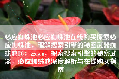 必应蜘蛛池必应蜘蛛池在线购买探索必应蜘蛛池，理解搜索引擎的秘密武器蜘蛛池TG：zzcseo，探索搜索引擎的秘密武器，必应蜘蛛池深度解析与在线购买指南