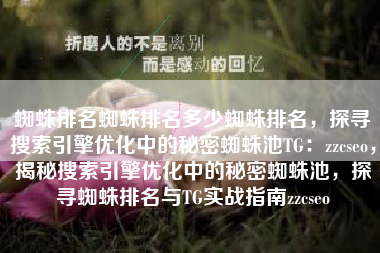 蜘蛛排名蜘蛛排名多少蜘蛛排名，探寻搜索引擎优化中的秘密蜘蛛池TG：zzcseo，揭秘搜索引擎优化中的秘密蜘蛛池，探寻蜘蛛排名与TG实战指南zzcseo