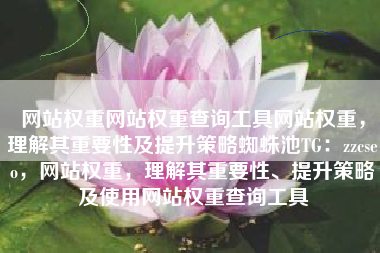 网站权重网站权重查询工具网站权重，理解其重要性及提升策略蜘蛛池TG：zzcseo，网站权重，理解其重要性、提升策略及使用网站权重查询工具