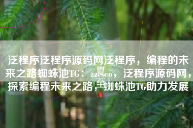 泛程序泛程序源码网泛程序，编程的未来之路蜘蛛池TG：zzcseo，泛程序源码网，探索编程未来之路，蜘蛛池TG助力发展