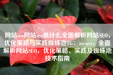 网站seo网站seo是什么全面解析网站SEO，优化策略与实践蜘蛛池TG：zzcseo，全面解析网站SEO，优化策略、实践及蜘蛛池技术指南