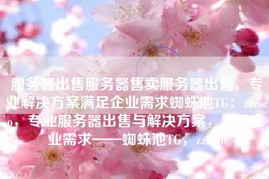 服务器出售服务器售卖服务器出售，专业解决方案满足企业需求蜘蛛池TG：zzcseo，专业服务器出售与解决方案，满足企业需求——蜘蛛池TG，zzcseo