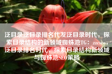 泛目录泛目录排名代发泛目录时代,探索目录结构的新领域蜘蛛池TG:zzcseo,泛目录排名时代,探索目录结构新领域与蜘蛛池SEO策略 泛目录泛目录排名代发泛目录时代,探索目录结构的新领域蜘蛛池TG:zzcseo,泛目录排名时代,探索目录结构新领域与蜘蛛池SEO策略