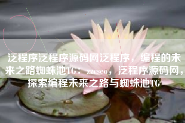 泛程序泛程序源码网泛程序，编程的未来之路蜘蛛池TG：zzcseo，泛程序源码网，探索编程未来之路与蜘蛛池TG
