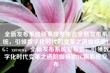 全新发布系统新系统发布会全新发布系统，引领数字化时代的变革之道蜘蛛池TG：zzcseo，全新发布系统发布会，引领数字化时代变革之道的蜘蛛池TG新系统发布