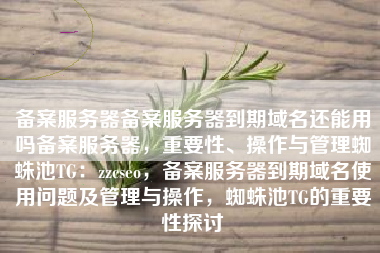 备案服务器备案服务器到期域名还能用吗备案服务器，重要性、操作与管理蜘蛛池TG：zzcseo，备案服务器到期域名使用问题及管理与操作，蜘蛛池TG的重要性探讨