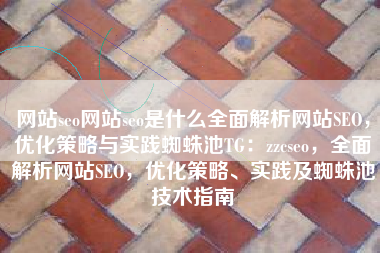 网站seo网站seo是什么全面解析网站SEO，优化策略与实践蜘蛛池TG：zzcseo，全面解析网站SEO，优化策略、实践及蜘蛛池技术指南