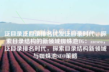 泛目录泛目录排名代发泛目录时代,探索目录结构的新领域蜘蛛池TG:zzcseo,泛目录排名时代,探索目录结构新领域与蜘蛛池SEO策略 泛目录泛目录排名代发泛目录时代,探索目录结构的新领域蜘蛛池TG:zzcseo,泛目录排名时代,探索目录结构新领域与蜘蛛池SEO策略