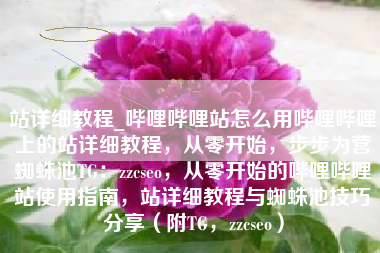 站详细教程_哔哩哔哩站怎么用哔哩哔哩上的站详细教程，从零开始，步步为营蜘蛛池TG：zzcseo，从零开始的哔哩哔哩站使用指南，站详细教程与蜘蛛池技巧分享（附TG，zzcseo）