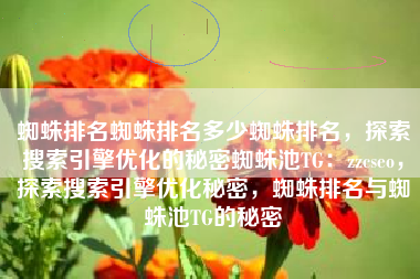 蜘蛛排名蜘蛛排名多少蜘蛛排名，探索搜索引擎优化的秘密蜘蛛池TG：zzcseo，探索搜索引擎优化秘密，蜘蛛排名与蜘蛛池TG的秘密