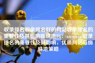 收录排名收录排名好的网站收录排名的重要性及其影响蜘蛛池TG：zzcseo，收录排名的重要性及其影响，优质网站与蜘蛛池策略