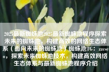 2025最新蜘蛛池2025最新蜘蛛池程序探索未来的蜘蛛池，构建高效的网络生态体系（面向未来的蜘蛛池）蜘蛛池TG：zzcseo，探索未来蜘蛛池技术，构建高效网络生态体系与最新蜘蛛池程序介绍