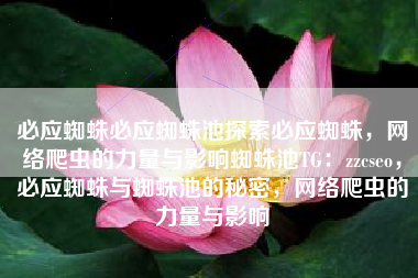 必应蜘蛛必应蜘蛛池探索必应蜘蛛，网络爬虫的力量与影响蜘蛛池TG：zzcseo，必应蜘蛛与蜘蛛池的秘密，网络爬虫的力量与影响