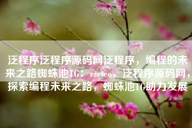 泛程序泛程序源码网泛程序，编程的未来之路蜘蛛池TG：zzcseo，泛程序源码网，探索编程未来之路，蜘蛛池TG助力发展