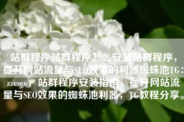 站群程序站群程序怎么安装站群程序，提升网站流量与SEO效果的利器蜘蛛池TG：zzcseo，站群程序安装指南，提升网站流量与SEO效果的蜘蛛池利器，TG教程分享。