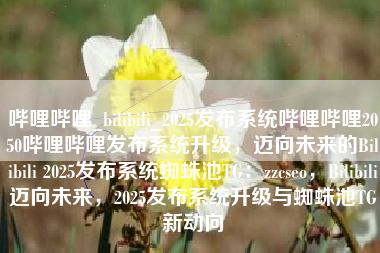哔哩哔哩_bilibili_2025发布系统哔哩哔哩2050哔哩哔哩发布系统升级，迈向未来的Bilibili 2025发布系统蜘蛛池TG：zzcseo，Bilibili迈向未来，2025发布系统升级与蜘蛛池TG新动向