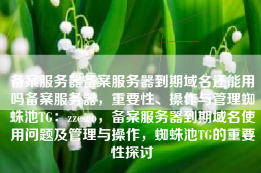 备案服务器备案服务器到期域名还能用吗备案服务器，重要性、操作与管理蜘蛛池TG：zzcseo，备案服务器到期域名使用问题及管理与操作，蜘蛛池TG的重要性探讨