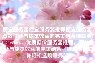 便宜服务器便宜服务器推荐便宜服务器，高效性能与成本效益的完美结合蜘蛛池TG：zzcseo，优质低价服务器推荐，高效性能与成本效益的完美结合，蜘蛛池TG助你轻松选购服务器！