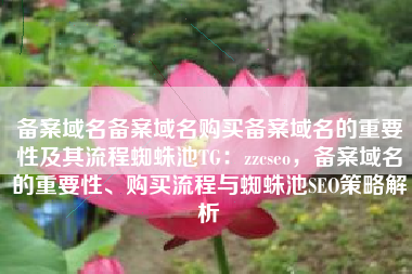 备案域名备案域名购买备案域名的重要性及其流程蜘蛛池TG：zzcseo，备案域名的重要性、购买流程与蜘蛛池SEO策略解析