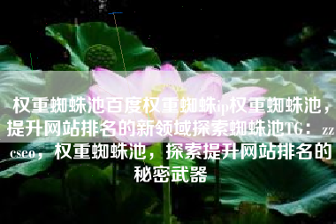 权重蜘蛛池百度权重蜘蛛ip权重蜘蛛池，提升网站排名的新领域探索蜘蛛池TG：zzcseo，权重蜘蛛池，探索提升网站排名的秘密武器