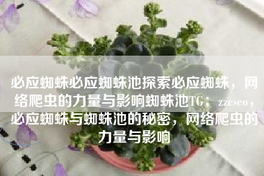 必应蜘蛛必应蜘蛛池探索必应蜘蛛，网络爬虫的力量与影响蜘蛛池TG：zzcseo，必应蜘蛛与蜘蛛池的秘密，网络爬虫的力量与影响