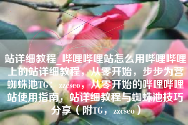 站详细教程_哔哩哔哩站怎么用哔哩哔哩上的站详细教程，从零开始，步步为营蜘蛛池TG：zzcseo，从零开始的哔哩哔哩站使用指南，站详细教程与蜘蛛池技巧分享（附TG，zzcseo）