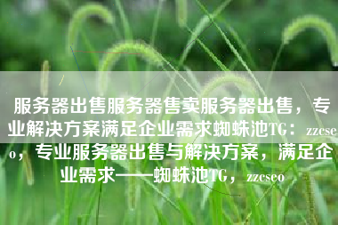 服务器出售服务器售卖服务器出售，专业解决方案满足企业需求蜘蛛池TG：zzcseo，专业服务器出售与解决方案，满足企业需求——蜘蛛池TG，zzcseo