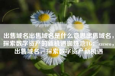 出售域名出售域名是什么意思出售域名，探索数字资产的新机遇蜘蛛池TG：zzcseo，出售域名，探索数字资产新机遇