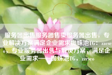 服务器出售服务器售卖服务器出售，专业解决方案满足企业需求蜘蛛池TG：zzcseo，专业服务器出售与解决方案，满足企业需求——蜘蛛池TG，zzcseo
