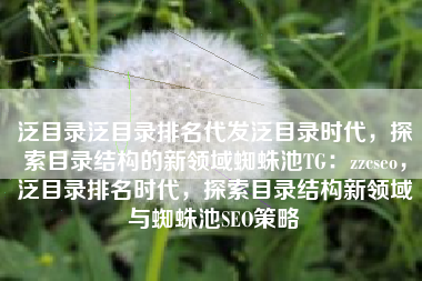 泛目录泛目录排名代发泛目录时代，探索目录结构的新领域蜘蛛池TG：zzcseo，泛目录排名时代，探索目录结构新领域与蜘蛛池SEO策略
