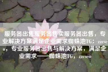 服务器出售服务器售卖服务器出售，专业解决方案满足企业需求蜘蛛池TG：zzcseo，专业服务器出售与解决方案，满足企业需求——蜘蛛池TG，zzcseo