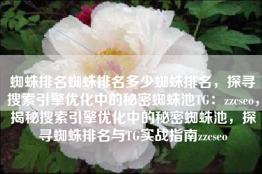 蜘蛛排名蜘蛛排名多少蜘蛛排名，探寻搜索引擎优化中的秘密蜘蛛池TG：zzcseo，揭秘搜索引擎优化中的秘密蜘蛛池，探寻蜘蛛排名与TG实战指南zzcseo