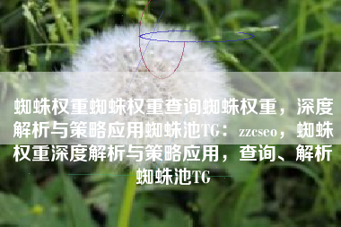 蜘蛛权重蜘蛛权重查询蜘蛛权重，深度解析与策略应用蜘蛛池TG：zzcseo，蜘蛛权重深度解析与策略应用，查询、解析蜘蛛池TG