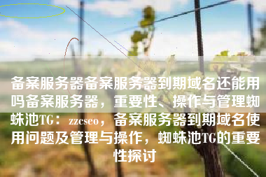 备案服务器备案服务器到期域名还能用吗备案服务器，重要性、操作与管理蜘蛛池TG：zzcseo，备案服务器到期域名使用问题及管理与操作，蜘蛛池TG的重要性探讨
