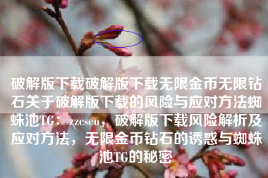 破解版下载破解版下载无限金币无限钻石关于破解版下载的风险与应对方法蜘蛛池TG：zzcseo，破解版下载风险解析及应对方法，无限金币钻石的诱惑与蜘蛛池TG的秘密