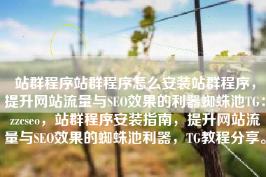 站群程序站群程序怎么安装站群程序，提升网站流量与SEO效果的利器蜘蛛池TG：zzcseo，站群程序安装指南，提升网站流量与SEO效果的蜘蛛池利器，TG教程分享。