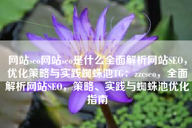 网站seo网站seo是什么全面解析网站SEO，优化策略与实践蜘蛛池TG：zzcseo，全面解析网站SEO，策略、实践与蜘蛛池优化指南