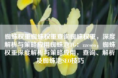 蜘蛛权重蜘蛛权重查询蜘蛛权重，深度解析与策略应用蜘蛛池TG：zzcseo，蜘蛛权重深度解析与策略应用，查询、解析及蜘蛛池SEO技巧